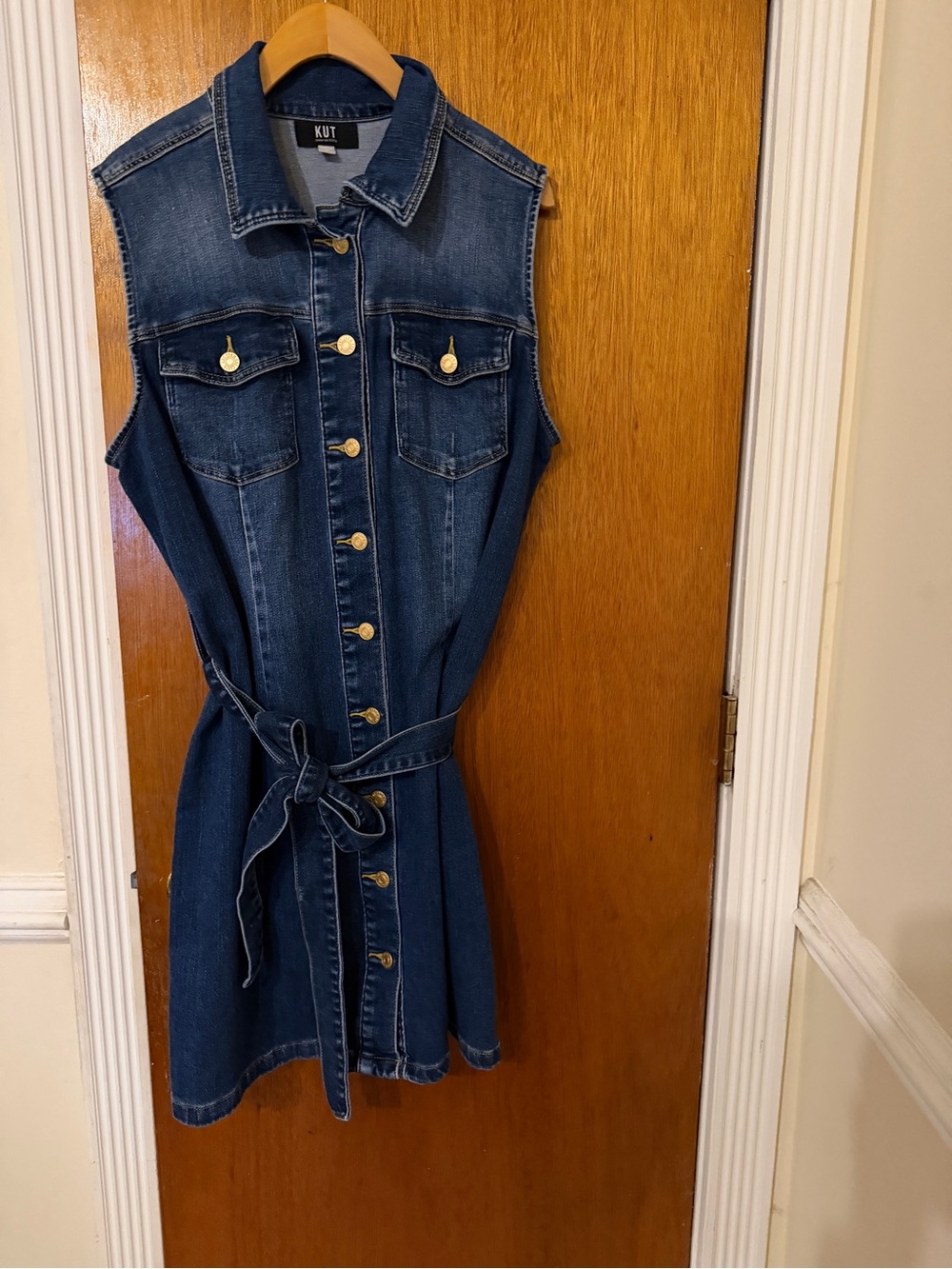 Kut from the Kloth Light Blue Denim Top
